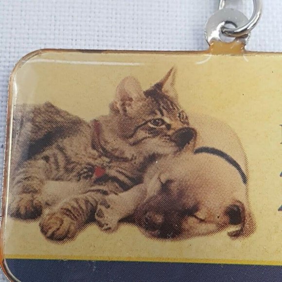 2013 HSUS Humane Society Puppy and Kitten Keychain Pendant - Picture 2 of 4